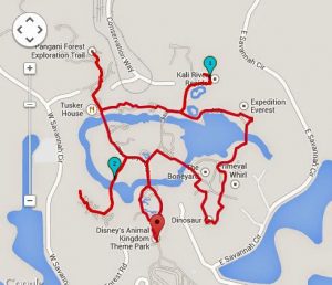Animal Kingdom 2.27 Miles / 3.65 Kilometers